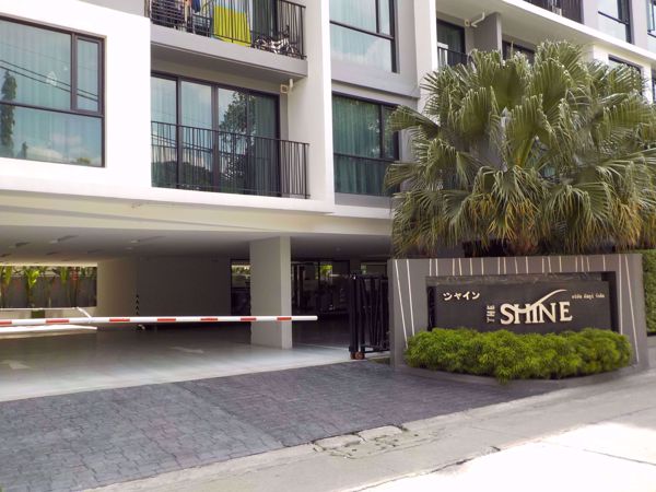 0006470_w_the-shine_600.jpeg