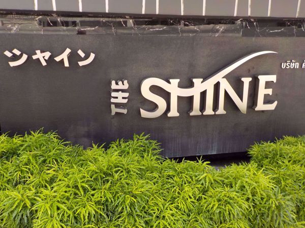 0006471_w_the-shine_600.jpeg