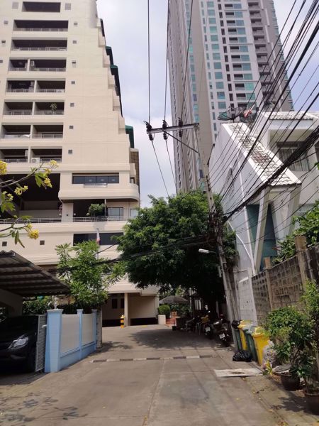 0009303_w_sampoom-garden_600.jpeg