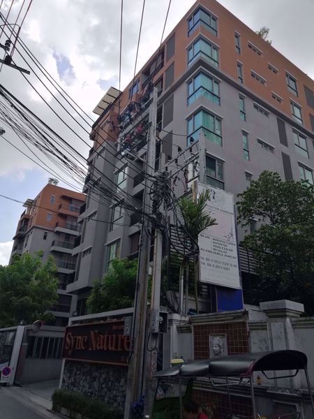 0021486_w_sync-nature-siam_600.jpeg