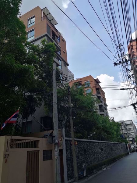 0021487_w_sync-nature-siam_600.jpeg