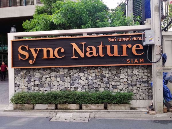 0021488_w_sync-nature-siam_600.jpeg