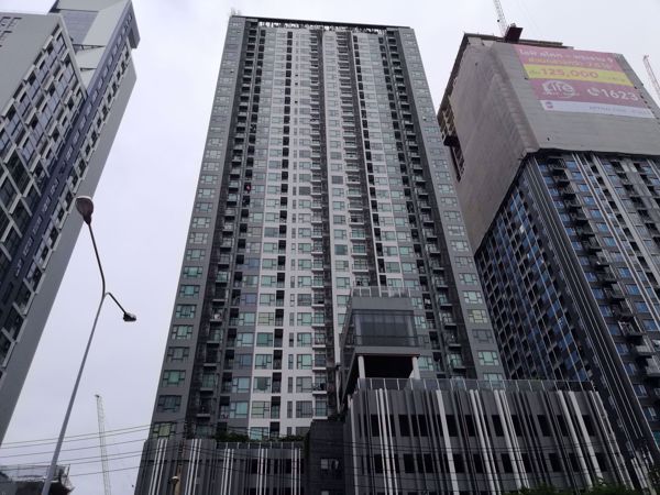 0042148_w_rhythm-asoke_600.jpeg