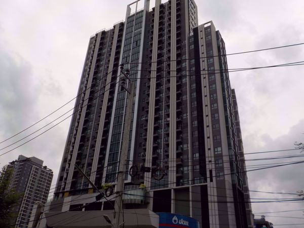 0060987_w_condolette-midst-rama-9_600.jpeg