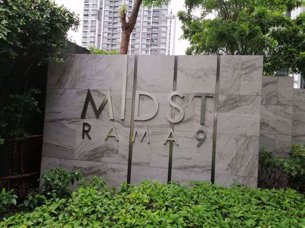 0065773_w_condolette-midst-rama-9_600.jpeg